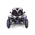 2014 best seller 1500cc EFI 4*4 5MT Gears Buggy,Go kart,Dune Buggy